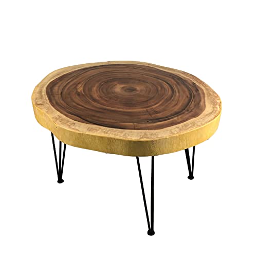 Faunos Design Couchtisch Holz massiv Hairpin Legs Baumkante Baumscheibe Kaffeetisch Wohnzimmertisch